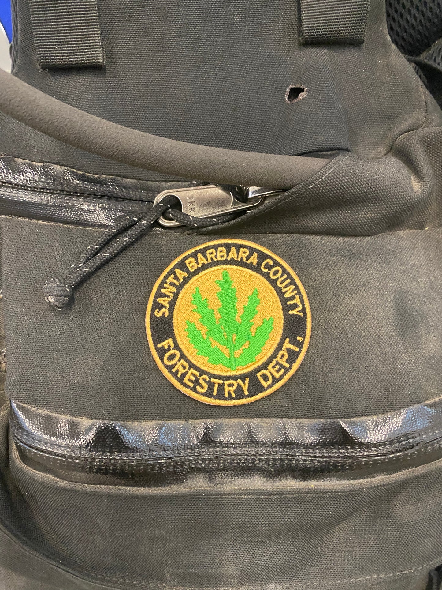 Forestry Department Patch